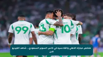 ملخص مباراة الأهلي والقادسية في كأس السوبر السعودي.. شاهد الفيديو الآن